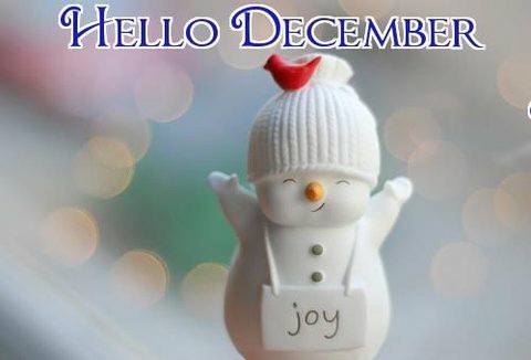 hello-december-1