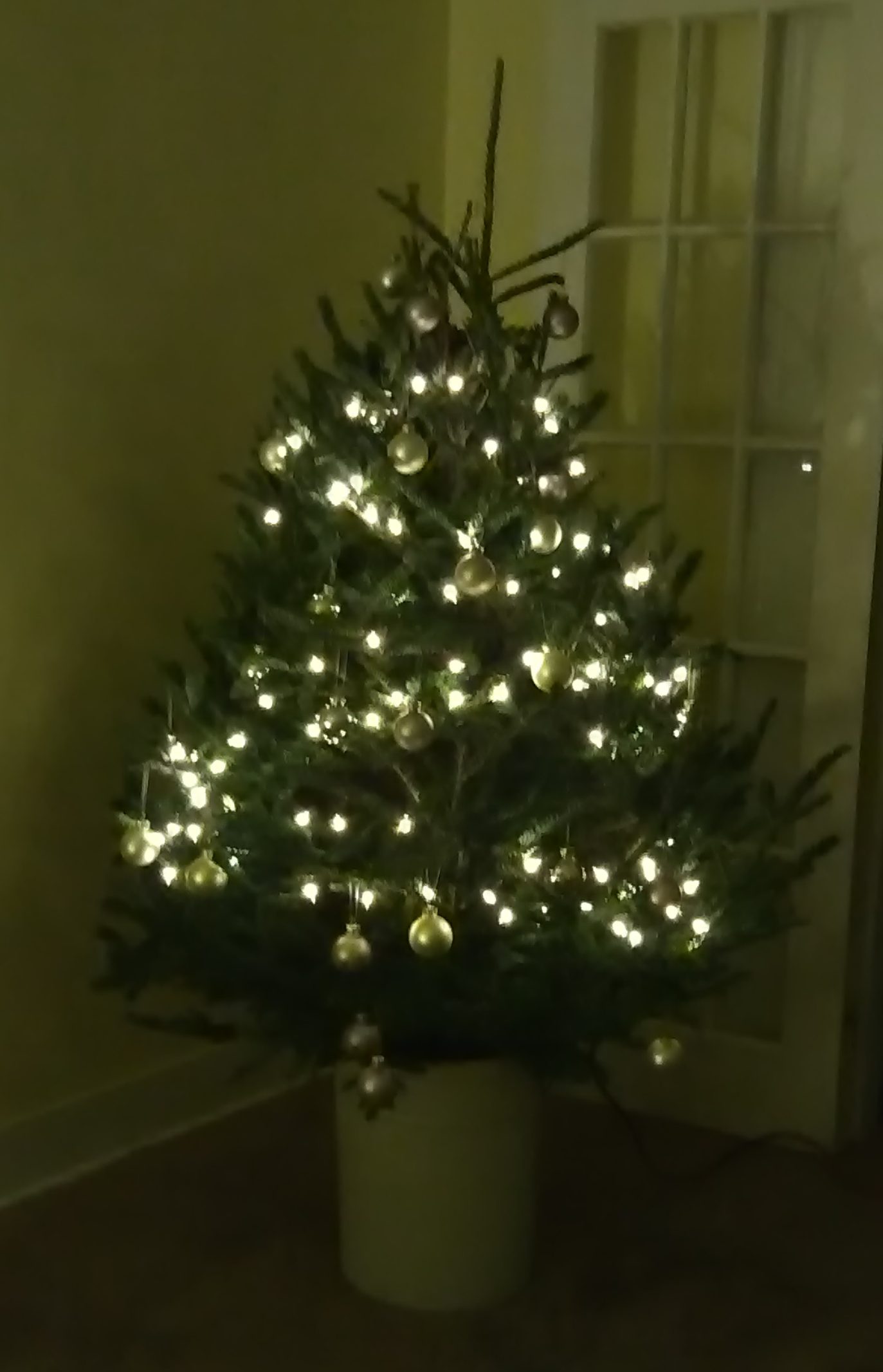 img_20161218_1831361